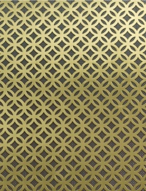 Inner Circle brass 2 X 1m with stainless backing mesh 1