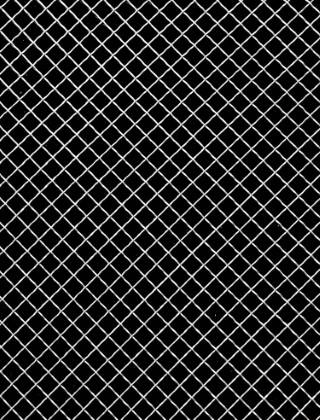 Crimped mesh 2 X 1 10X10 SS3161.2 DIAMONDNOmesh 1