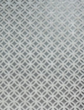 Inner Circle stainless 2 X 1m with stainless backing mesh cut to size 1