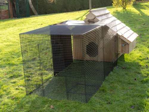 Chicken Run