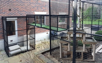 cleverly designed cat run connect by overhead tunnel