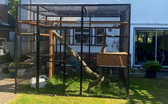 Garden to house cat runs linked by tunnel