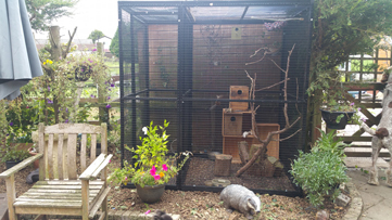 Chipmunk Cage, outdoor run, with safety porch Chipmunk Cage, outdoor run, with safety porch