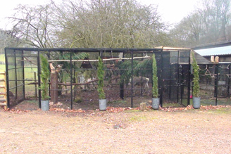 Outdoor Aviary for Owl and Reindeer Outdoor Aviary for Owl and Reindeer