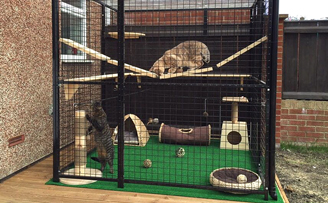 Ares & Apollo's safe outdoor play area Ares & Apollo's safe outdoor play area