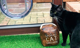 A spoiled Cat, Customised cat run A spoiled Cat, Customised cat run