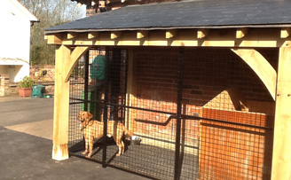 Timber Framed Dog Run Structure with mesh panel infill Timber Framed Dog Run Structure with mesh panel infill